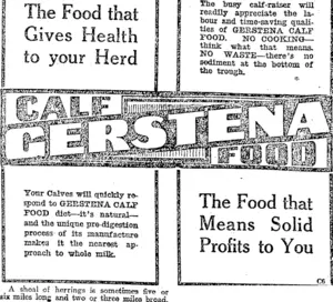 Page 6 Advertisements Column 5 (Otago Daily Times 17-8-1917)