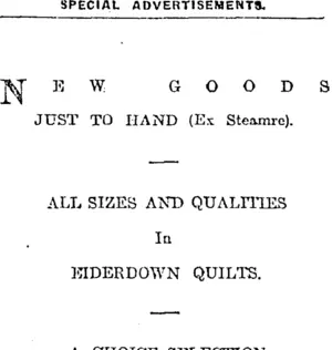 Page 4 Advertisements Column 3 (Otago Daily Times 25-4-1918)