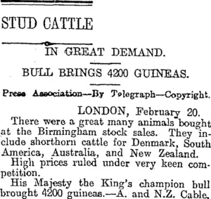 STUD CATTLE (Otago Daily Times 26-2-1919)