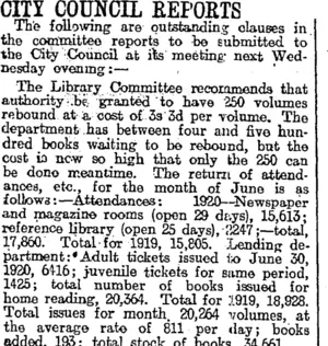 CITY COUNCIL REPORTS (Otago Daily Times 2-8-1920)