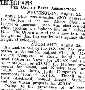 TELEGRAMS. (Otago Daily Times 24-8-1920)
