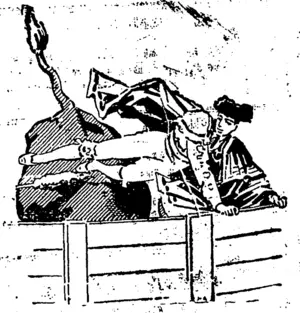 Untitled Illustration (Otautau Standard and Wallace County Chronicle, 14 August 1906)