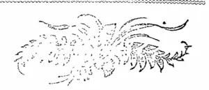 Untitled Illustration (Otago Witness, 26 February 1853)