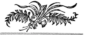 Untitled Illustration (Otago Witness, 15 March 1856)