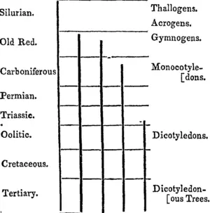 Untitled Illustration (Otago Witness, 01 August 1857)