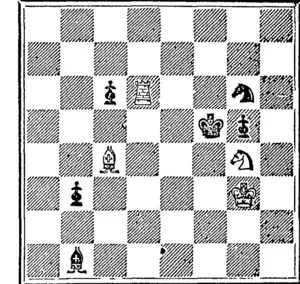 WHITE.  White to play and mato in three moves. (Otago Witness, 26 January 1878)