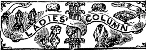Untitled Illustration (Otago Witness, 26 July 1879)