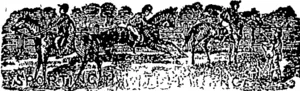 Untitled Illustration (Otago Witness, 13 September 1879)