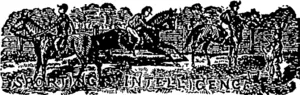 Untitled Illustration (Otago Witness, 15 November 1879)