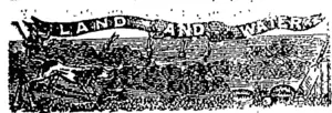 Untitled Illustration (Otago Witness, 15 November 1879)