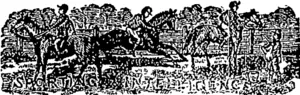 Untitled Illustration (Otago Witness, 22 November 1879)