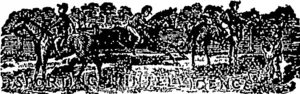 Untitled Illustration (Otago Witness, 29 November 1879)