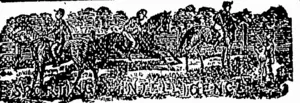 Untitled Illustration (Otago Witness, 10 April 1880)