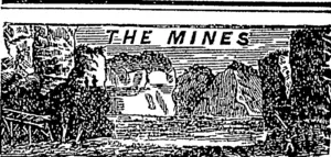 Untitled Illustration (Otago Witness, 10 April 1880)