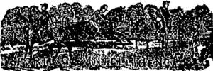 Untitled Illustration (Otago Witness, 24 April 1880)