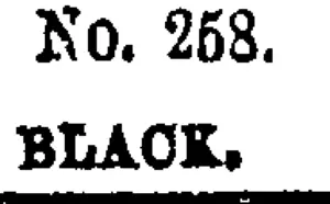 Ko. 268. (Otago Witness, 24 April 1880)