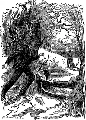 Untitled Illustration (Otago Witness, 03 January 1880)