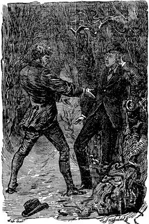 Untitled Illustration (Otago Witness, 03 January 1880)