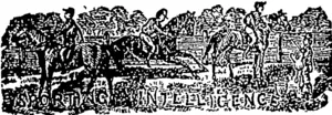 Untitled Illustration (Otago Witness, 24 January 1880)