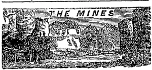 Untitled Illustration (Otago Witness, 24 January 1880)