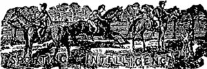 Untitled Illustration (Otago Witness, 14 February 1880)