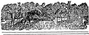 Untitled Illustration (Otago Witness, 21 February 1880)