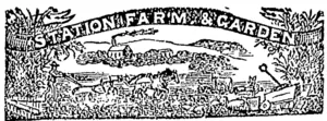 Untitled Illustration (Otago Witness, 28 February 1880)