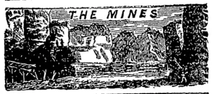 Untitled Illustration (Otago Witness, 28 February 1880)