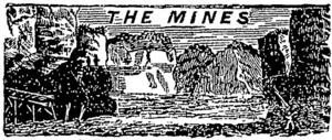 Untitled Illustration (Otago Witness, 06 March 1880)