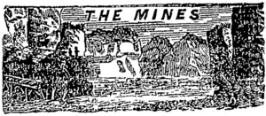 Untitled Illustration (Otago Witness, 13 March 1880)