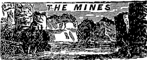 Untitled Illustration (Otago Witness, 20 March 1880)