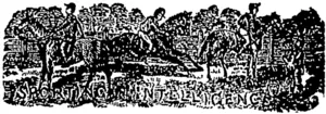 Untitled Illustration (Otago Witness, 27 March 1880)