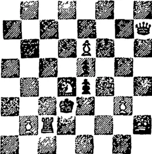 Black .]  [Whitb.]  White to play and mate in three  moves. (Otago Witness, 04 May 1893)