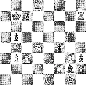 White.]  Black plays P-B 6 and White wins. (Otago Witness, 28 December 1893)