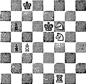 White.!  White to play and mate in three moves. (Otago Witness, 15 March 1894)