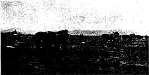 Hicks, photo. SNAPSHOTS AT WEST TAIERI PLOUGHING MATCH: LUNCH TIME (Otago Witness, 26 July 1900)