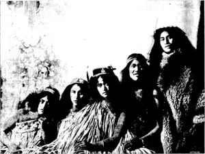 Armstrong, photo. SOME MAORI BELLES FROM MOERAKI. (Otago Witness, 27 May 1903)