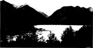 Cameron, photo, Winton. THE SOUTHERN LAKES: A VIEW OF LAKE MANAPOURI, SHOWING THE OUTFLOW, WAIAU RIVER. (Otago Witness, 17 June 1903)
