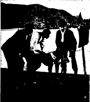 REPRIEVE 11. AND NOBLEMAN IN THE SLIPS (Otago Witness, 17 June 1903)