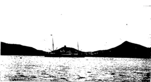 PASSING UP OTAGO HARBOUR—PORTC'BELLO AND HARBOUR CONE IN THE Suy, photo. DISTANCE. (Otago Witness, 17 June 1903)