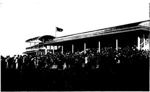 WATCHING THE EVENT OF THE DAY FROM IHE LAWN AND GRAND STAND (Otago Witness, 19 August 1903)