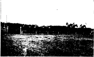 THE RACE FOR THE GRAND NATIONAL.  Pipi, Hipstone, and Straybird taking a fence together, with Awahuri close up. (Otago Witness, 19 August 1903)