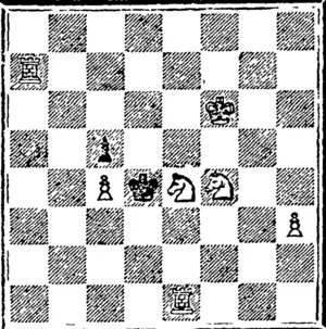 White 7 pieces. (Otago Witness, 26 August 1903)