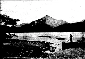 THE WEST COAST SOUNDS: ISTHMUS ARM, PRESERVATION INLET. (Otago Witness, 02 September 1903)