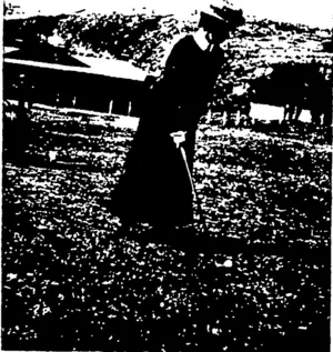 MISS GILLIES PUTTING BALL. (Otago Witness, 02 September 1903)