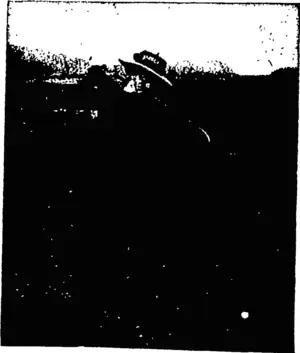 MISS JACKSON DRIVING. (Otago Witness, 02 September 1903)