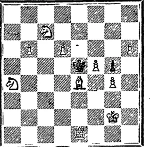 Black 2 pieces.  White 10 pieces. (Otago Witness, 02 September 1903)