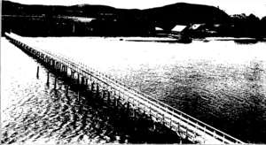 TAIPA RIVER AND BRIDGE, NEAR MAXGONUI, IHE LOMGEST BRIDGE NORTH OF AUCKLAND. (Otago Witness, 02 September 1903)