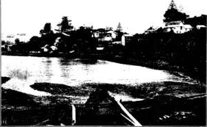 A YIBW OF MANGONUI TOWNSHIP FROM THE WESTERN SIDE (Otago Witness, 02 September 1903)