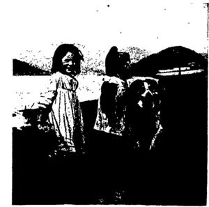 Untitled Illustration (Otago Witness, 21 October 1903)